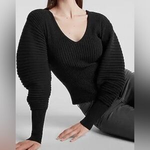 Express Balloon Puff Sleeve Sweater Top
